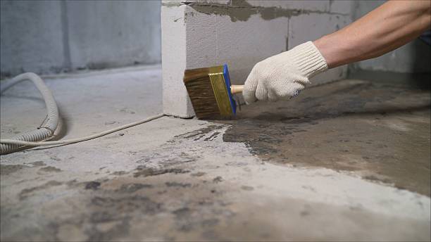24/7 Emergency Waterproofing experts in Mount Vernon, AL